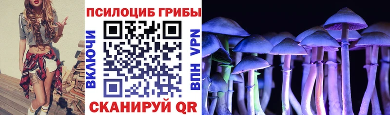 наркота  Зуевка  Псилоцибиновые грибы ЛСД 